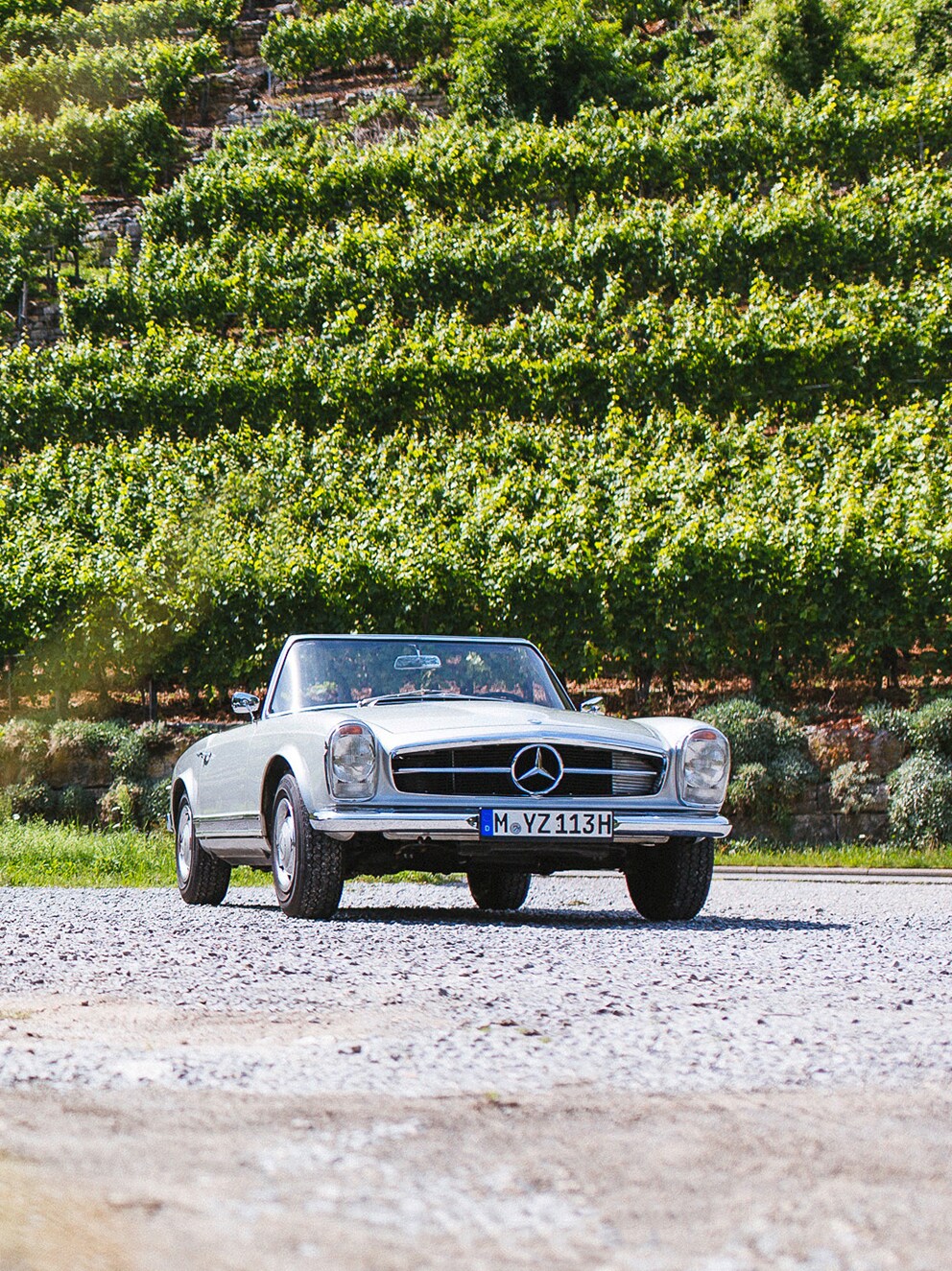 Dwa Mercedesy SL na tle zbocza porośniętego winoroślami.