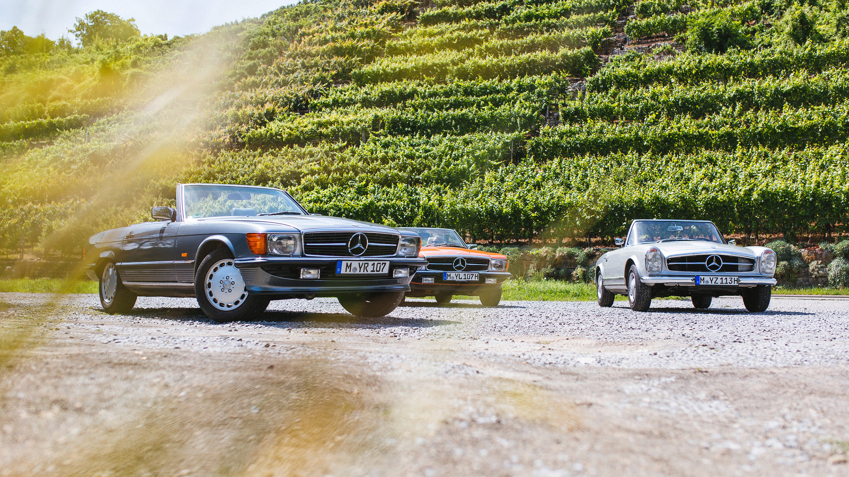 Homologacja samochodów osobowych | Mercedes‑Benz Dwa Mercedesy SL na tle zbocza porośniętego winoroślami.