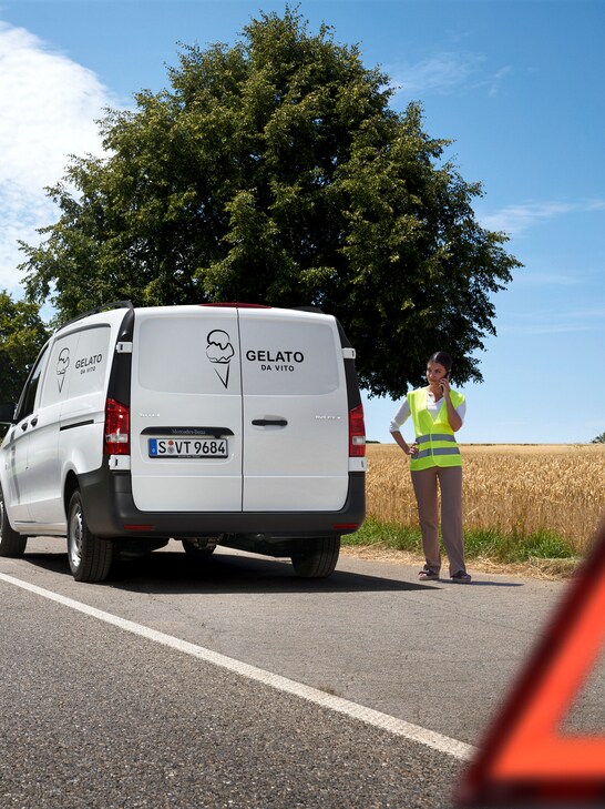 Świadczenia mobilnościowe